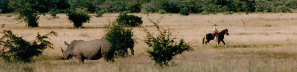 x Sophie Neville at Touchstone 1