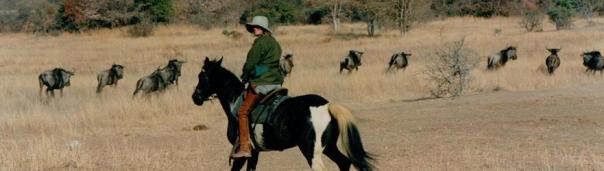 x Sophie Neville on Jigsaw in the Waterberg 1