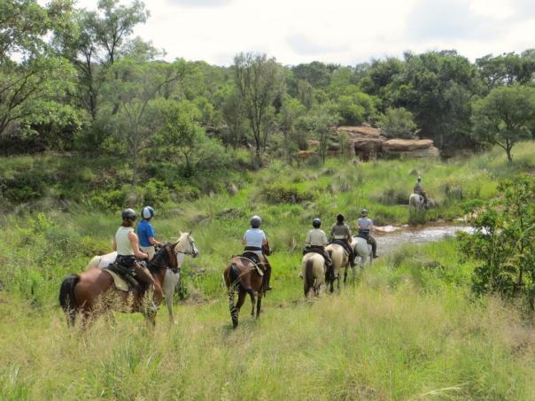 groupandlandscape030_zpscc9589f6