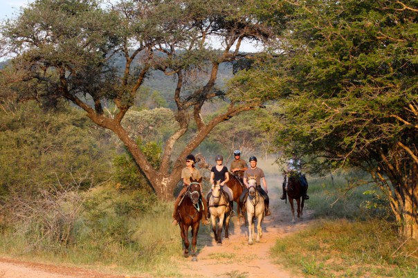 Riding safaris at Ant's (45)