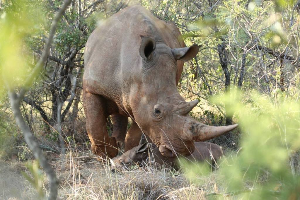 12489374_949048711796994_8995087404462765529_o