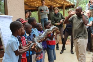 LWS pupils with python