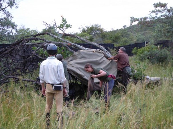 wrapping up the saddles
