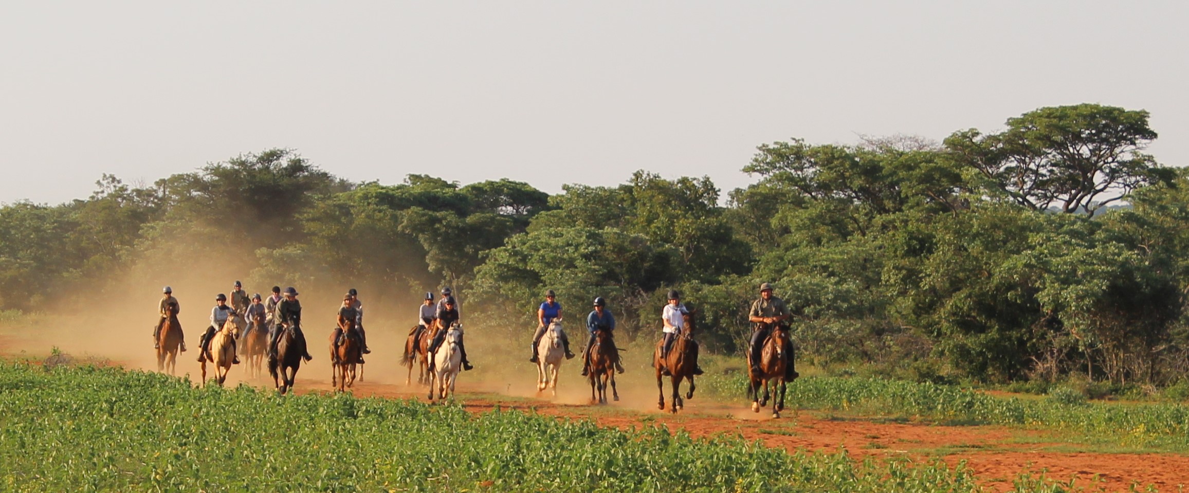 riders-successfully-completing-the-twt-ride-2017