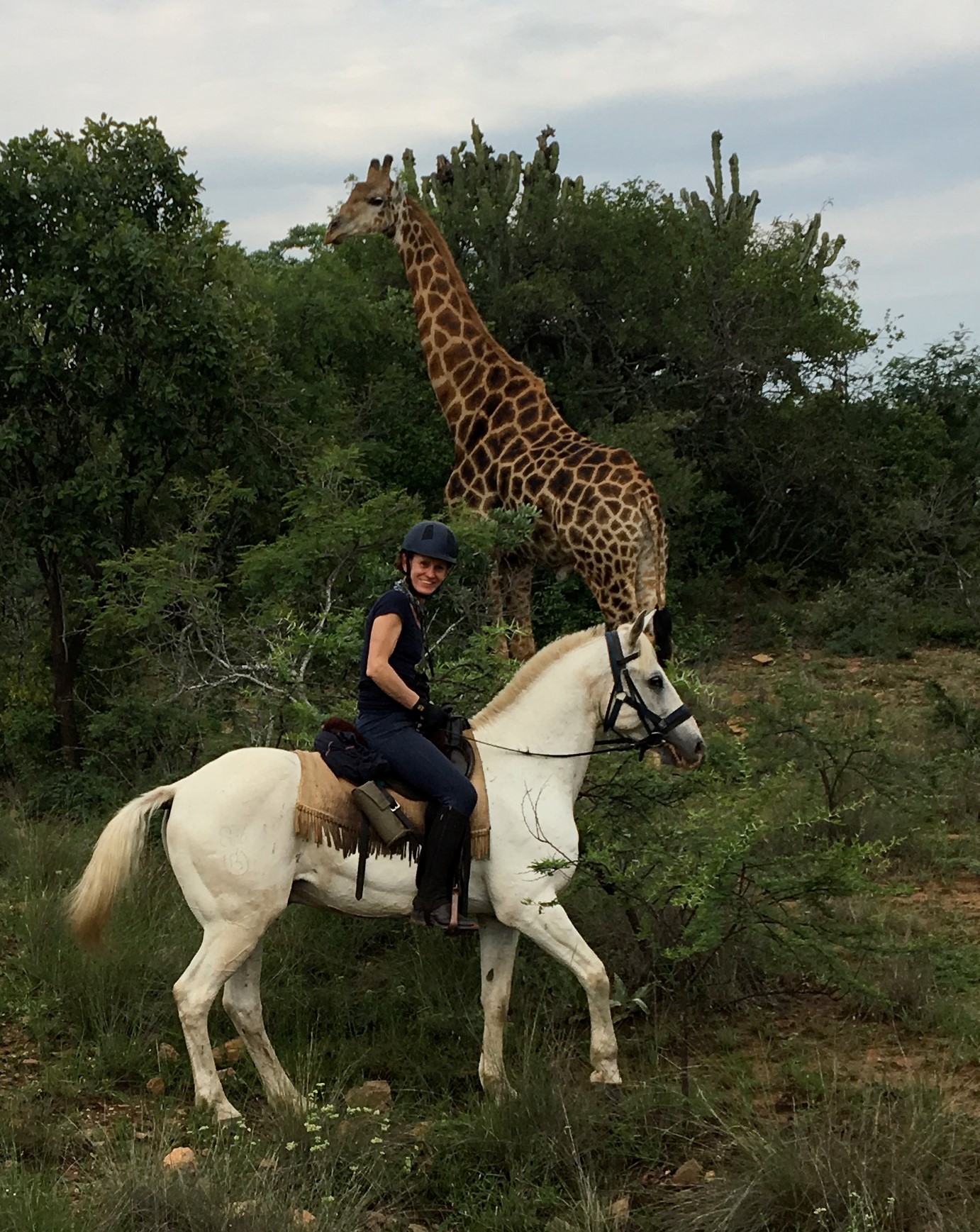 sam-scott-who-hunts-with-the-bedale-on-the-twt-ride-2017