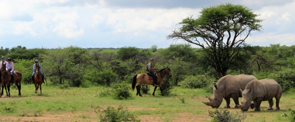 twt-ride-day-2-claudia-and-the-rhino