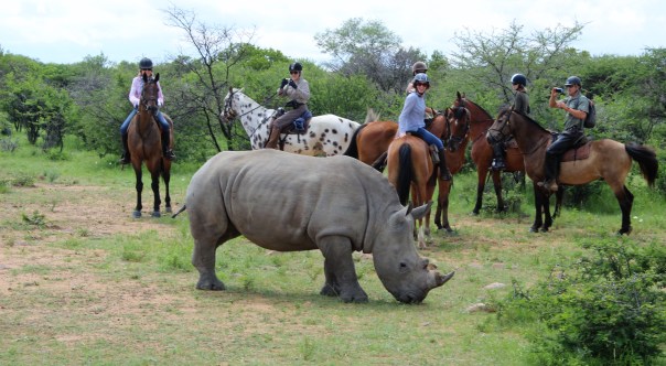 twt-ride-day-2-encountering-a-white-rhino