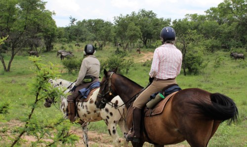 twt-ride-day-2-hilly-and-lulu-with-wildebeest