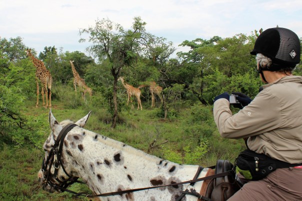 twt-ride-day-2-hilly-photographing-giraffe
