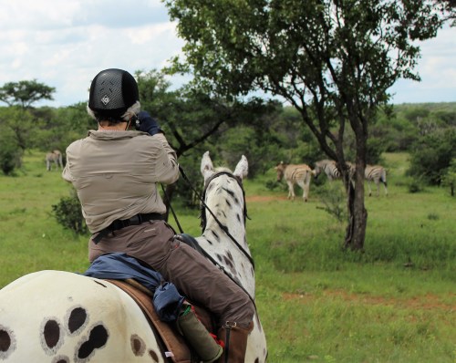 twt-ride-day-2-hilly-photographing-zebra
