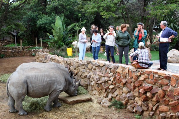 twt-ride-day-2-talking-about-rhino-horn-with-jess