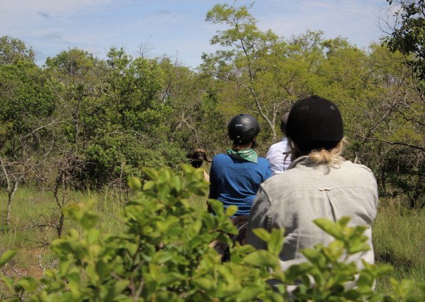 twt-ride-day-3-coming-across-a-bufflo-bull
