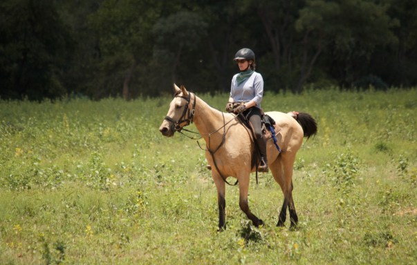 twt-rider-elisa-spearman-who-hunts-with-the-beaufort