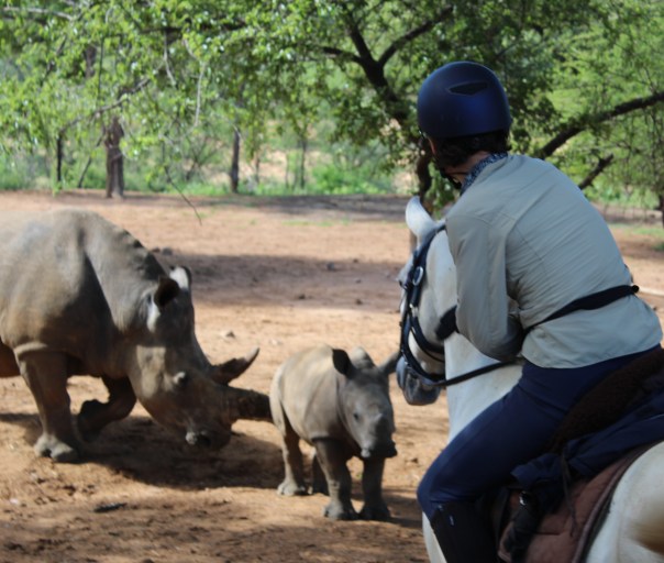 twt-rider-with-baby-rhino-2017