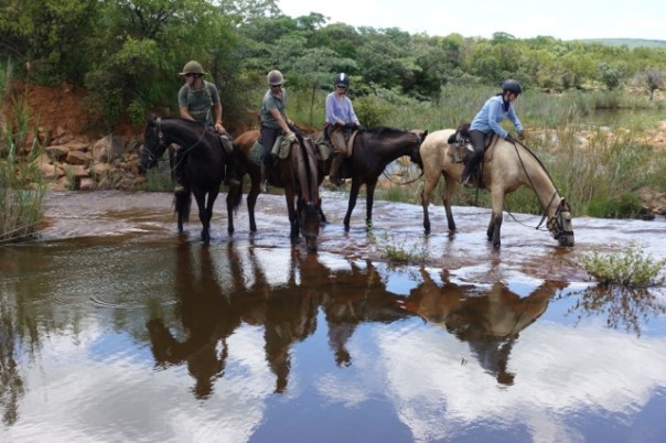 twt-ride-guides-and-riders-letting-the-horses-drink-on-lapalala