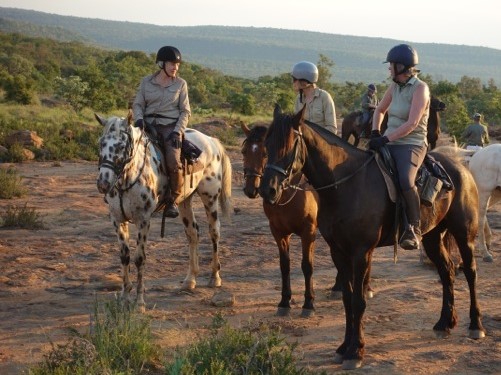 TWT Ride Hilly Janie and Lulu resting in the evening light