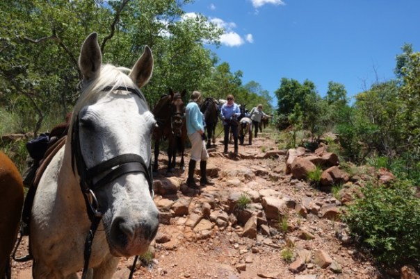 twt-ride-walking-down-a-stony-hillside-on-lapalala