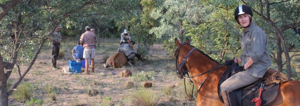 The game vet ministering to an injured eland on Ant's Nest