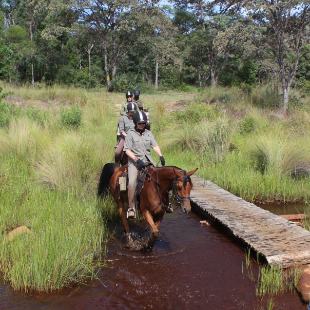 TWT Ride 2018 crossing a stream on Lindani - photo Sophie Neville.jpg