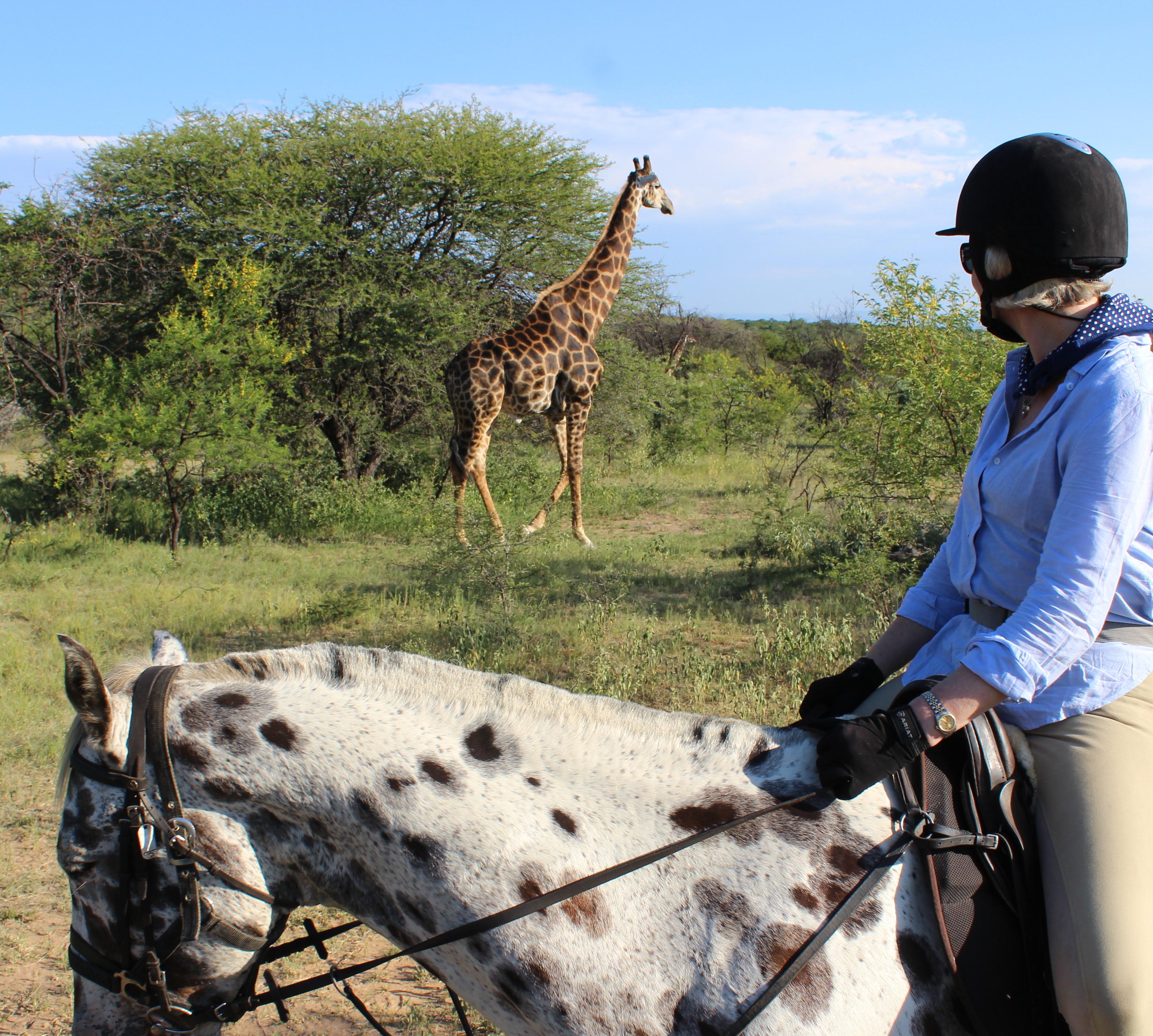 TWT Ride 2018 DAY 1 - Viv with giraffe.jpg