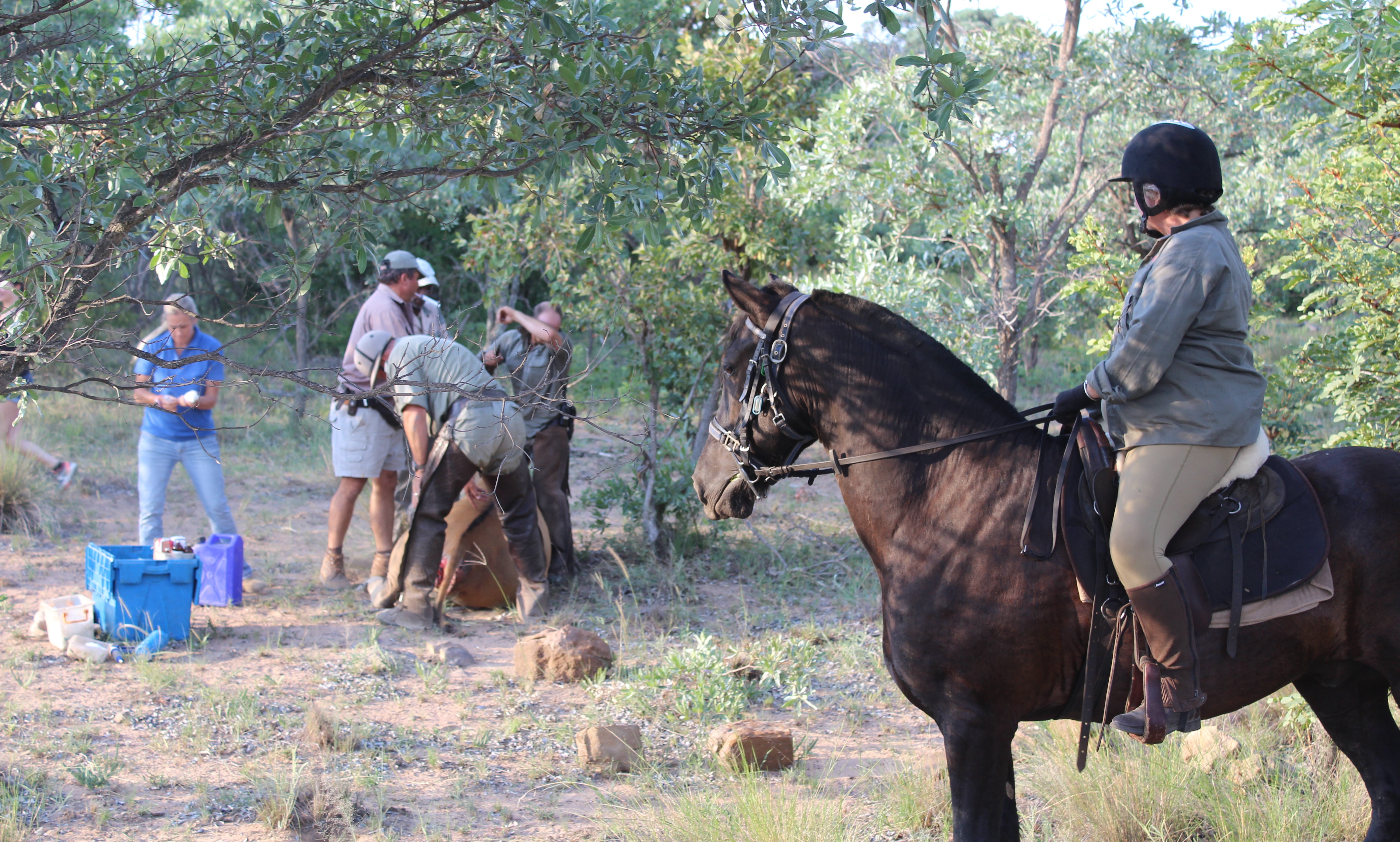 TWT Ride 2018 DAY 2 - MC on her horse with game vet team.jpg