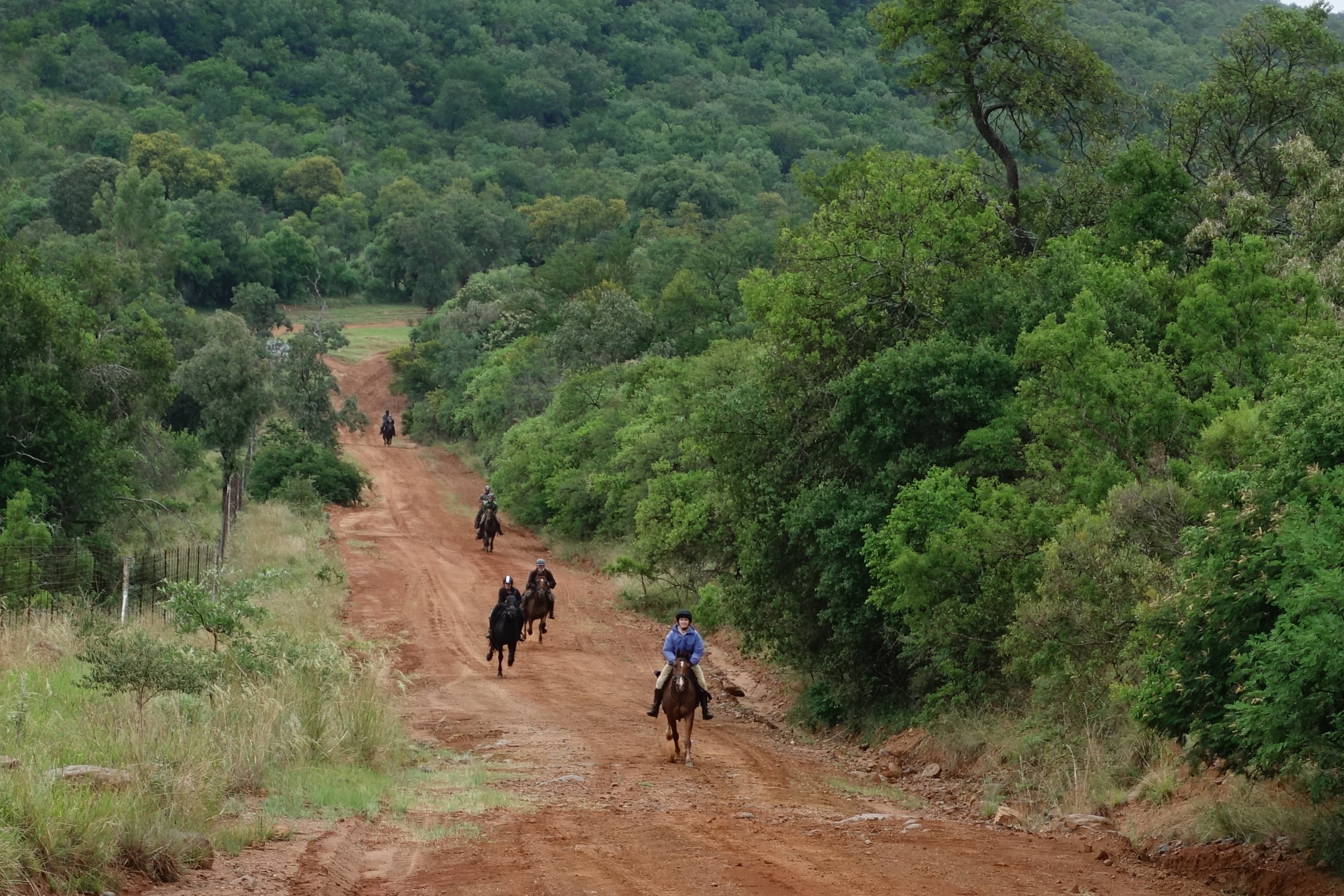 TWT Ride 2018 DAY 4 - cantering down the road in the rain.jpg