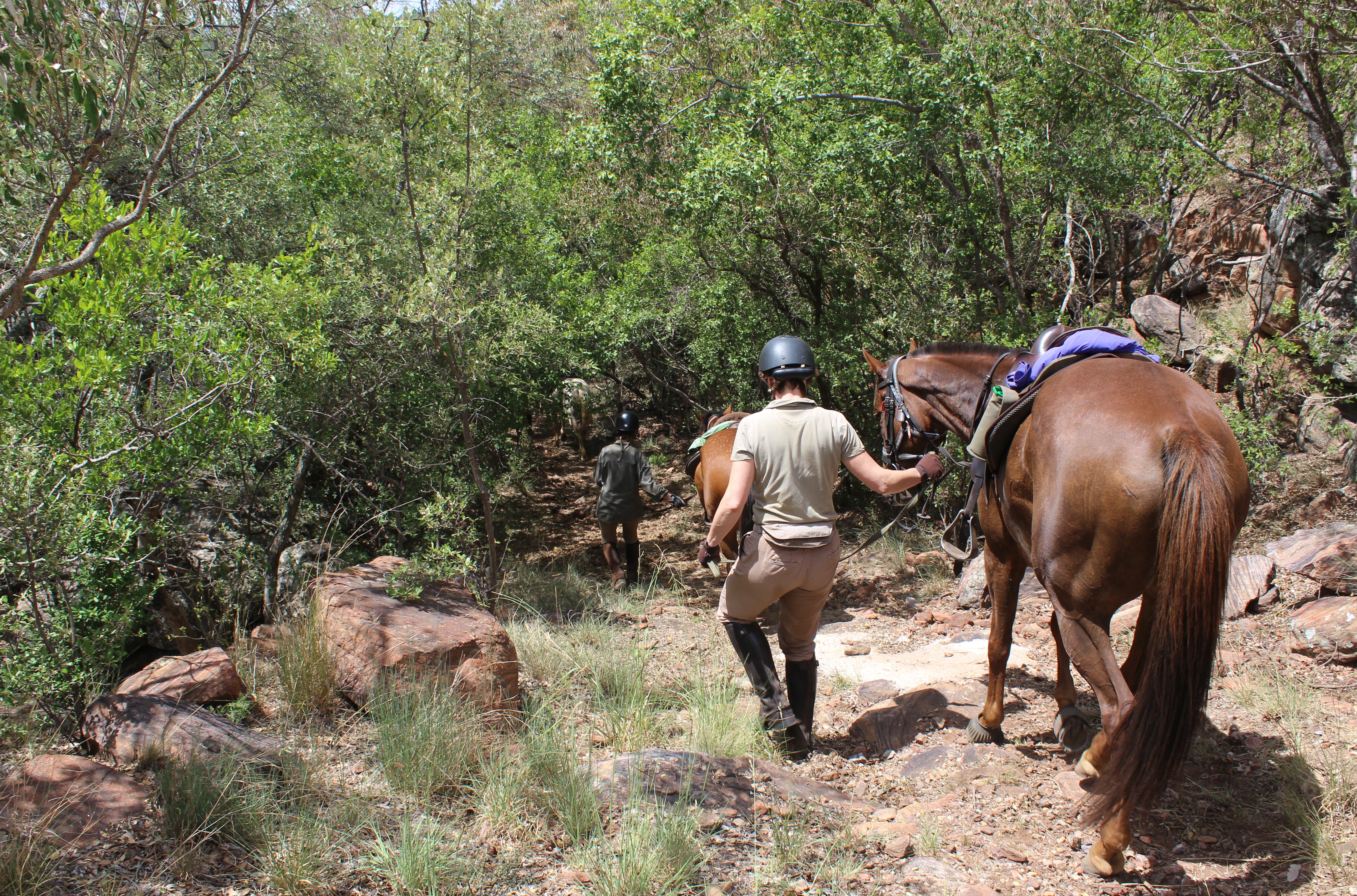 TWT Ride 2018 dismounting to tackle a steep hill - photo Sophie Neville.jpg