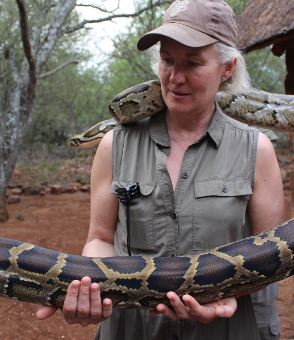 TWT Ride 2018 Viv Thomas handling a Burmese python.jpg