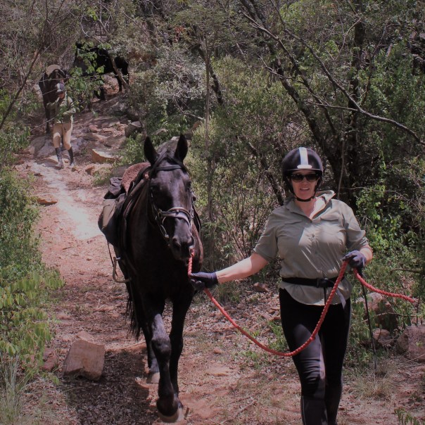 TWT Ride 2018 walking down a steep section.jpg